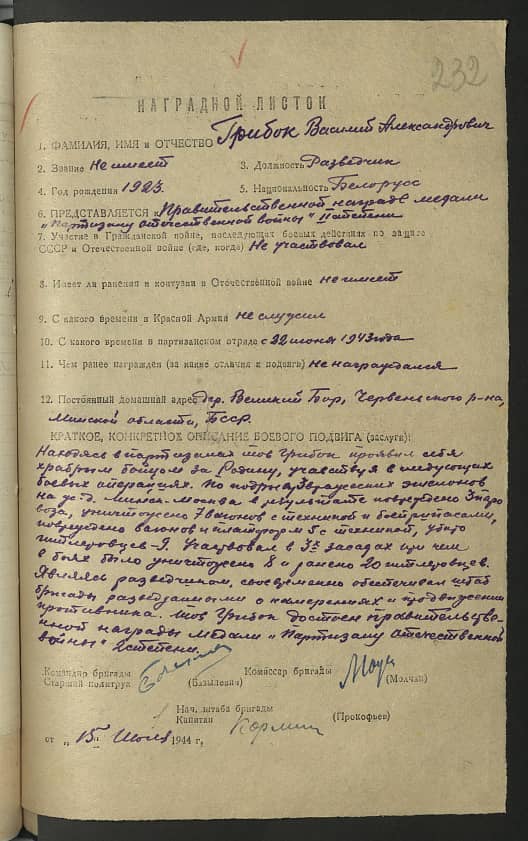 Грибок Василий Александрович Документ 1