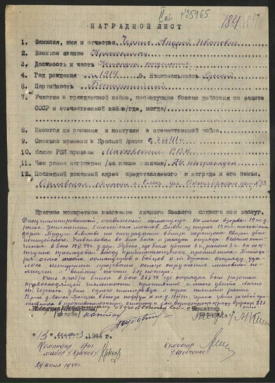 Черных Андрей Иванович Документ 1