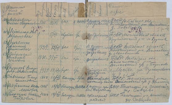 Цибульский Николай Силович Документ 1