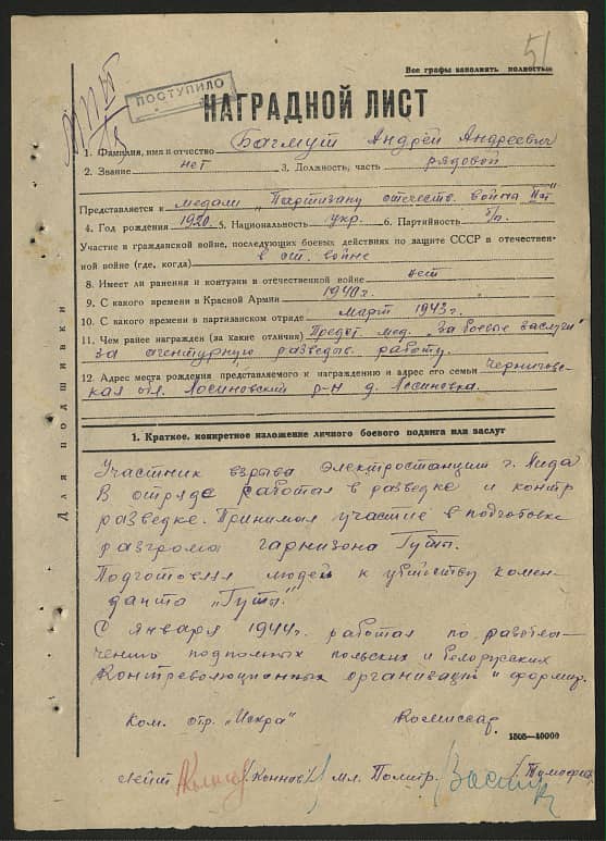 Багмут Андрей Андреевич Документ 1