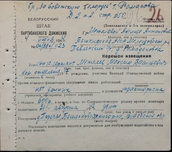 Метелев Максим Васильевич Документ 1