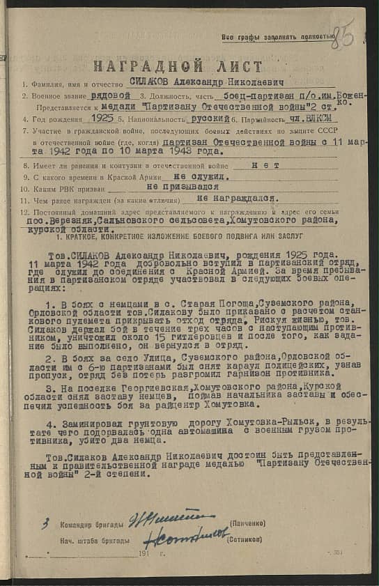 Силаков Александр Николаевич Документ 1