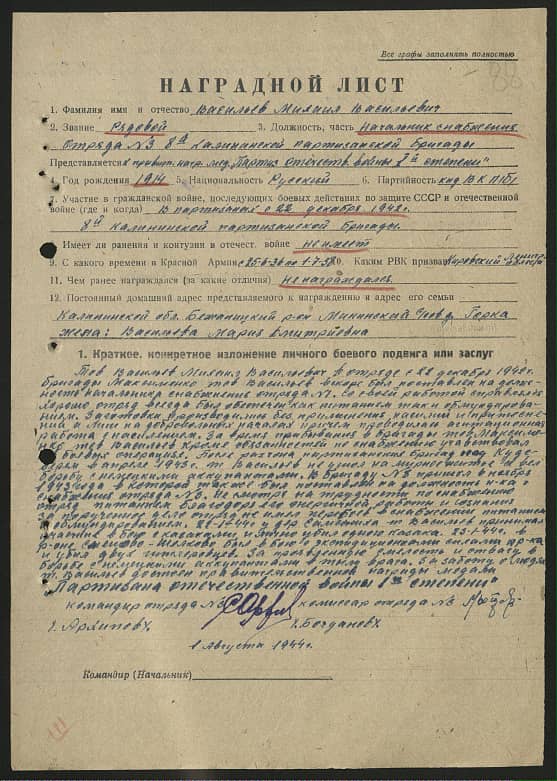 Васильев Михаил Васильевич Документ 1