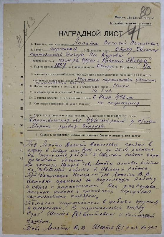 Лопата Василий Васильевич Документ 1