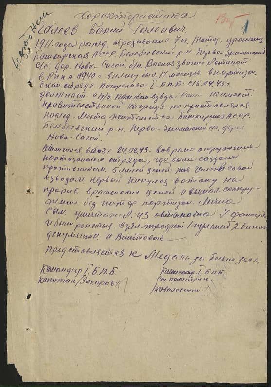 Галеев Барий Галеивич Документ 1