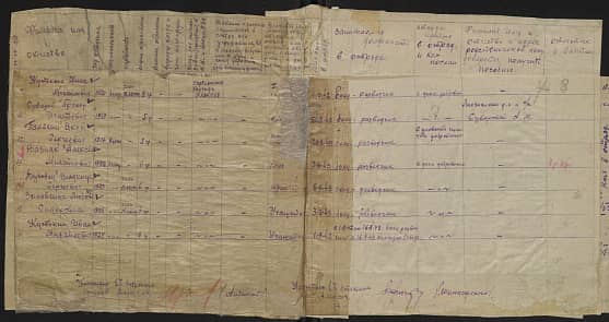 Дубовец Владимир Сергеевич Документ 1