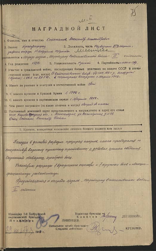 Степанов Александр Александрович Документ 1