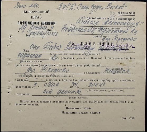 Бабич Николай Александрович Документ 1