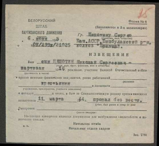 Шепотин Николай Сергеевич Документ 1