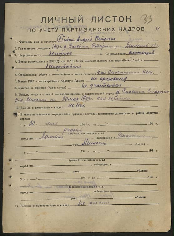 Бибик Андрей Петрович Документ 1