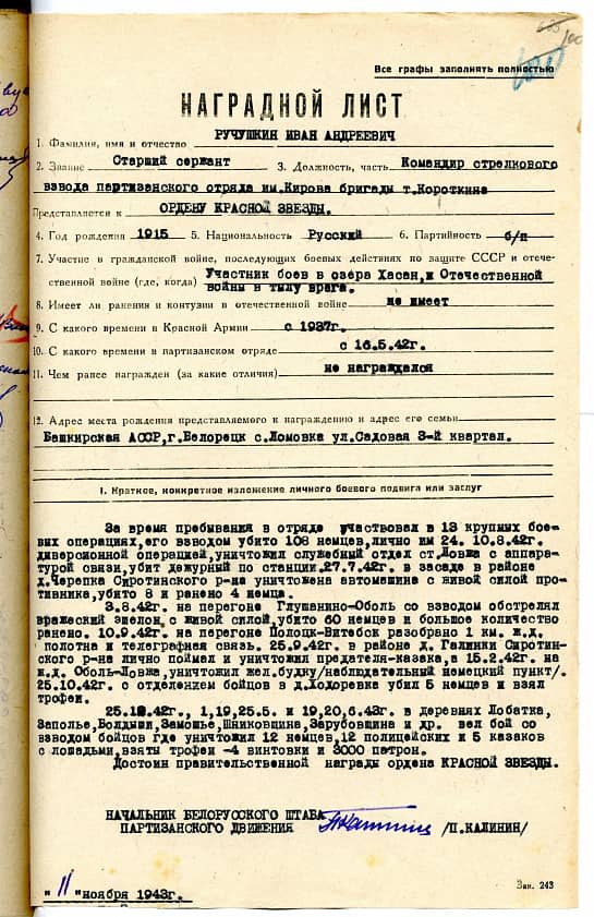 Ручушкин Иван Андреевич Документ 1