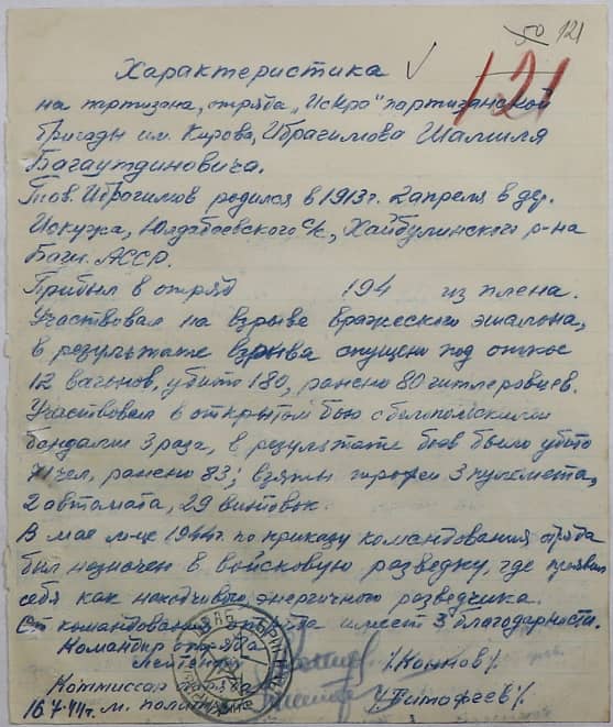 Ибрагимов Шамиль Багаутдинович Документ 1