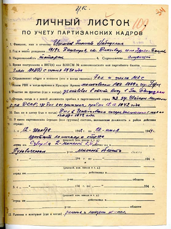 Ишмаев Зиннат Набиуллич Документ 1