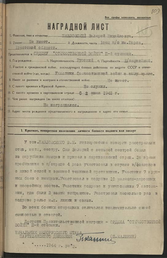 Павловский Валерий Михайлович Документ 1