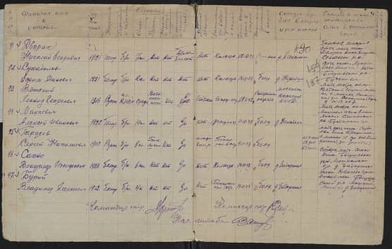 Гардеев Сергей  Николаевич  Документ 1