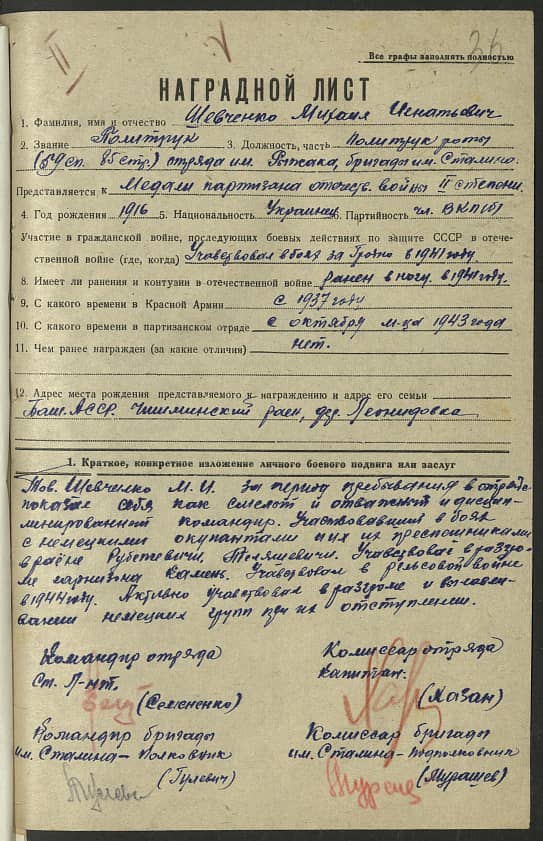 Шевченко Михаил Игнатьевич Документ 1