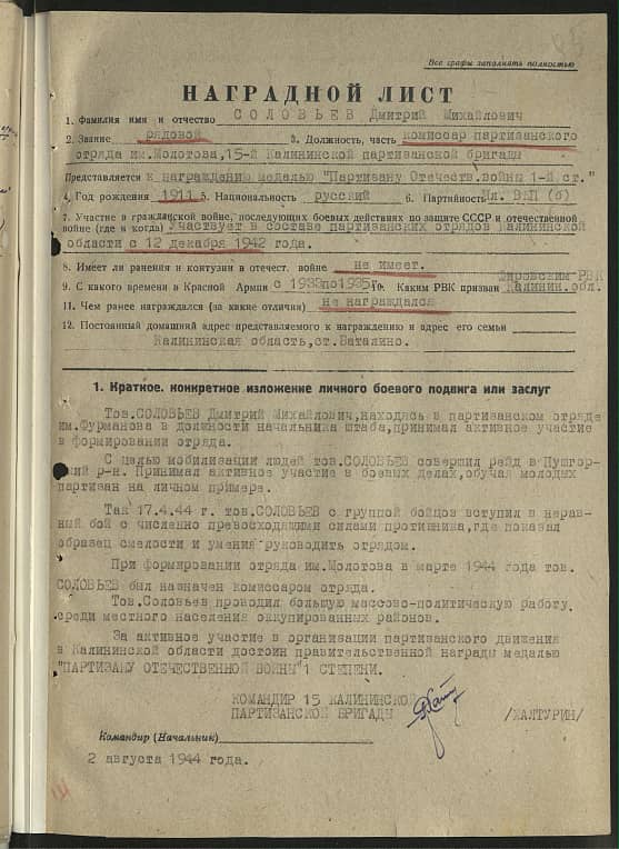 Соловьев Дмитрий Михайлович Документ 1