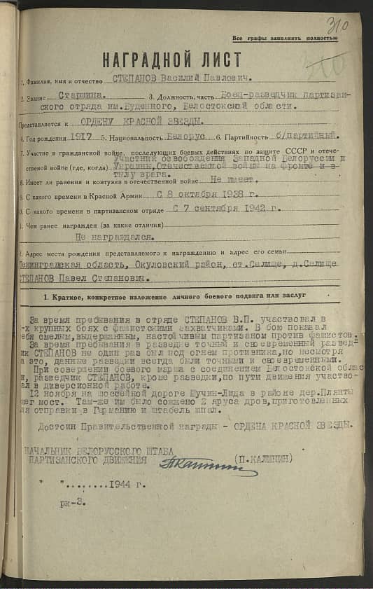 Степанов Василий Павлович Документ 1