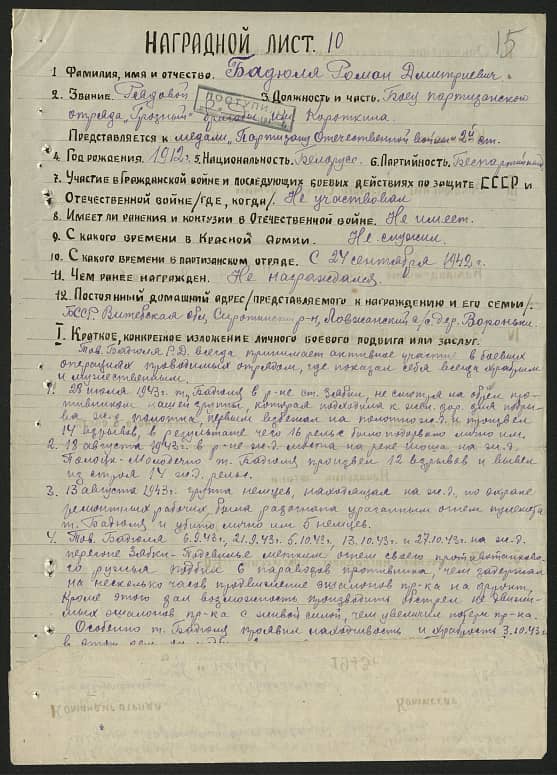 Бадюля  Роман Дмитриевич Документ 1