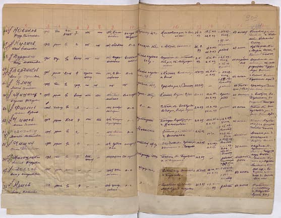 Долгов Александр  Илларионович Документ 1