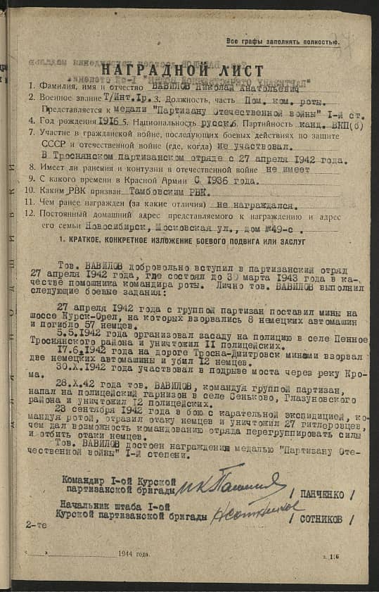 Вавилов Николай Анатольевич Документ 1