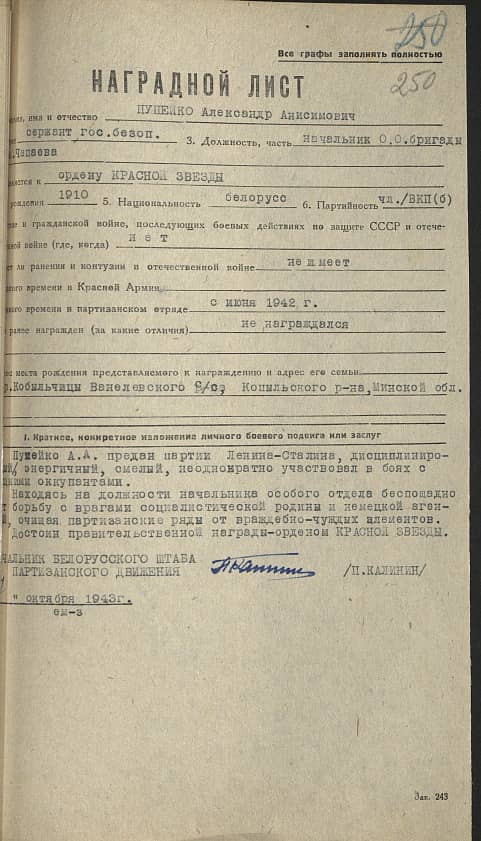 Пупейко Александр Анисимович Документ 1