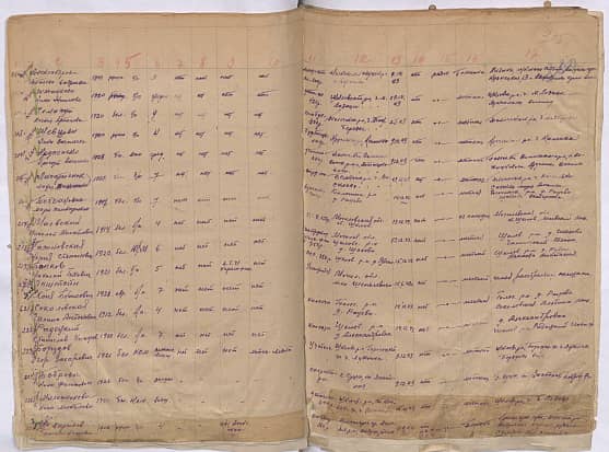 Чемахун Ксения Артемовна Документ 1