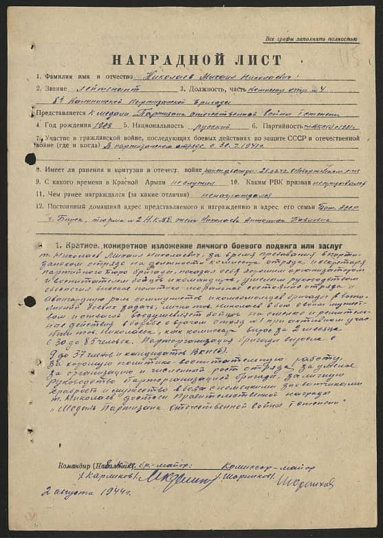 Николаев Михаил Николаевич Документ 1
