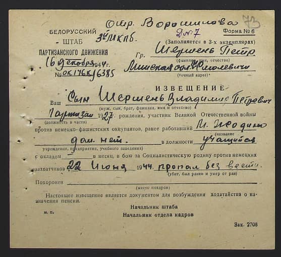 Шершень Владимир Петрович Документ 1