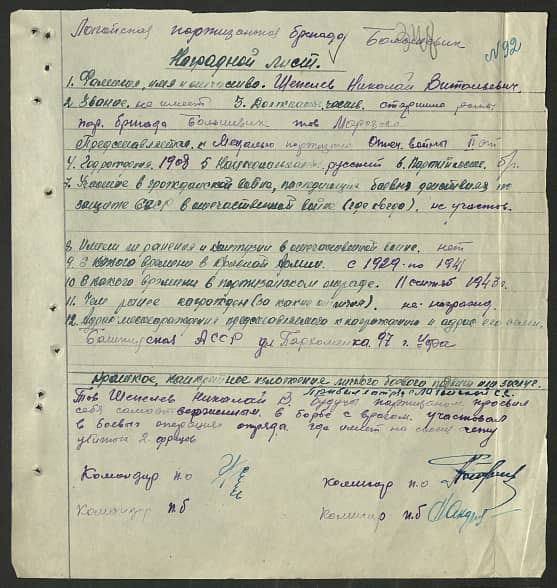 Шепелев Николай Витальевич Документ 1