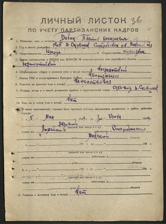 Бибик Платон Васильевич Документ 1