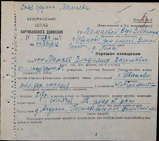 Мамаев Владимир Васильевич Документ 1