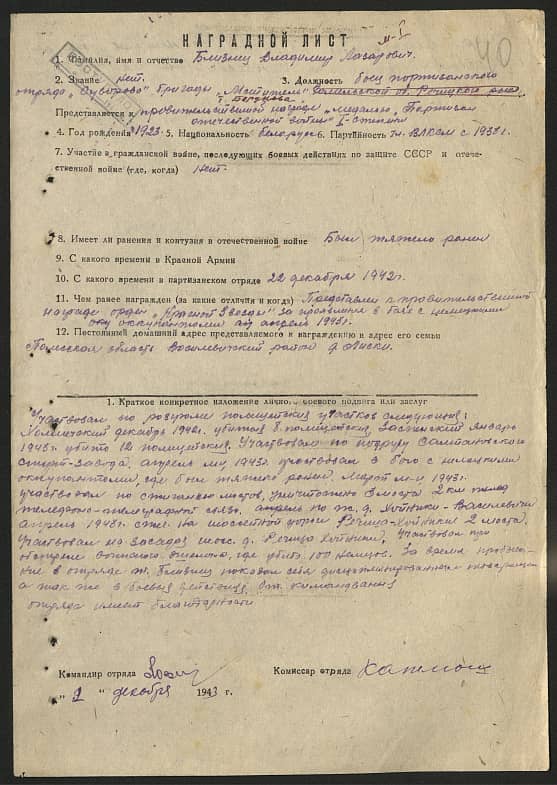 Близнец Владимир Лазаревич Документ 1